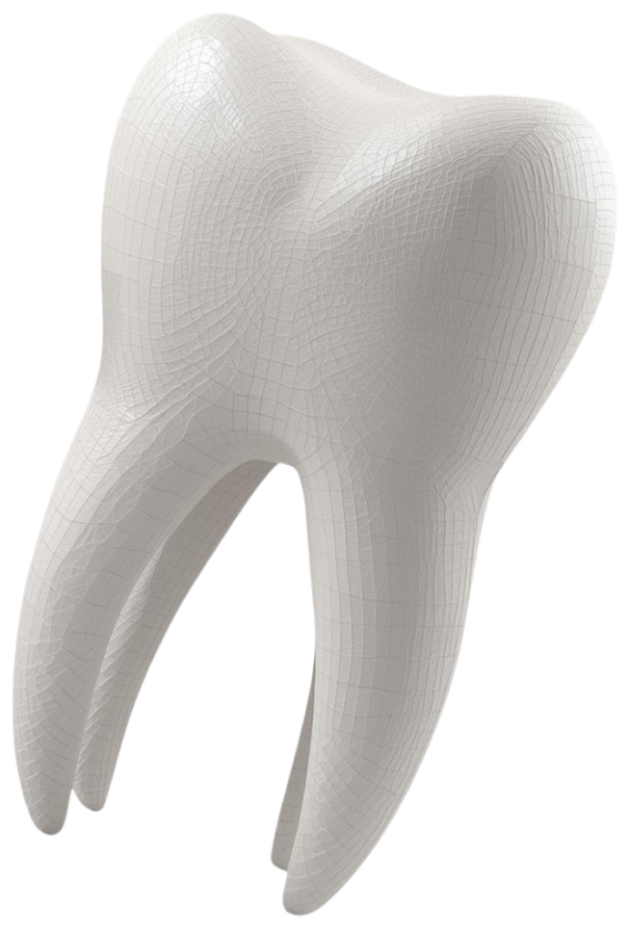 3d vizual zuba